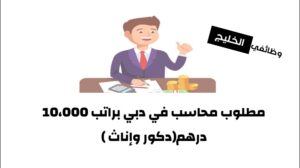 مطلوب محاسب في دبي براتب 10،000 درهم(دكور وإناث )